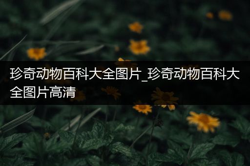 珍奇动物百科大全图片_珍奇动物百科大全图片高清