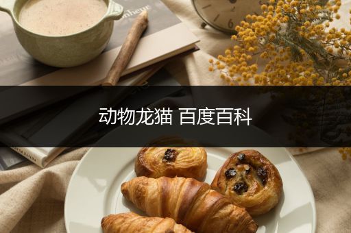 动物龙猫 百度百科
