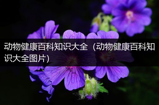 动物健康百科知识大全（动物健康百科知识大全图片）