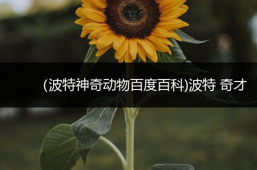 （波特神奇动物百度百科)波特 奇才