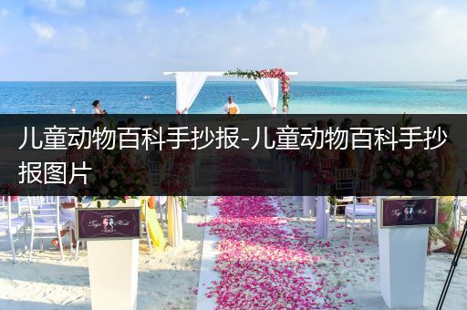 儿童动物百科手抄报-儿童动物百科手抄报图片