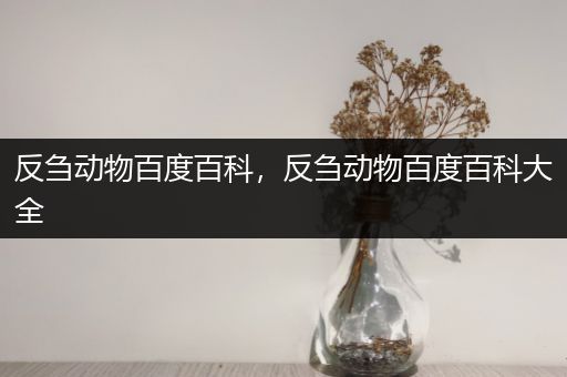 反刍动物百度百科，反刍动物百度百科大全