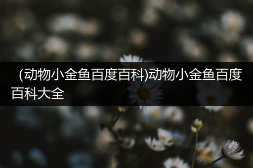 （动物小金鱼百度百科)动物小金鱼百度百科大全
