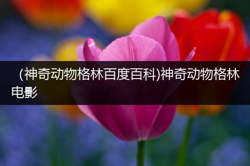（神奇动物格林百度百科)神奇动物格林电影
