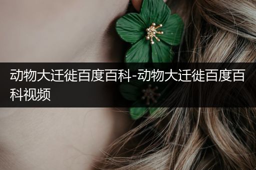 动物大迁徙百度百科-动物大迁徙百度百科视频