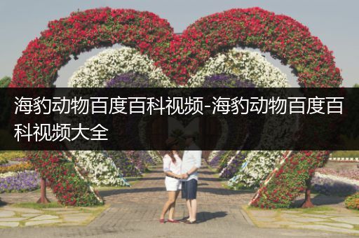 海豹动物百度百科视频-海豹动物百度百科视频大全