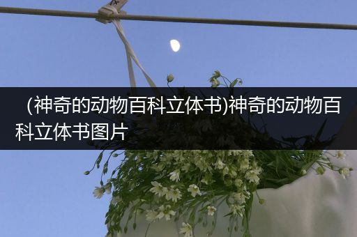 （神奇的动物百科立体书)神奇的动物百科立体书图片