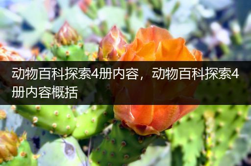 动物百科探索4册内容，动物百科探索4册内容概括