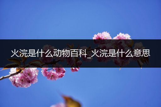 火浣是什么动物百科_火浣是什么意思