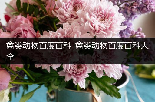 禽类动物百度百科_禽类动物百度百科大全