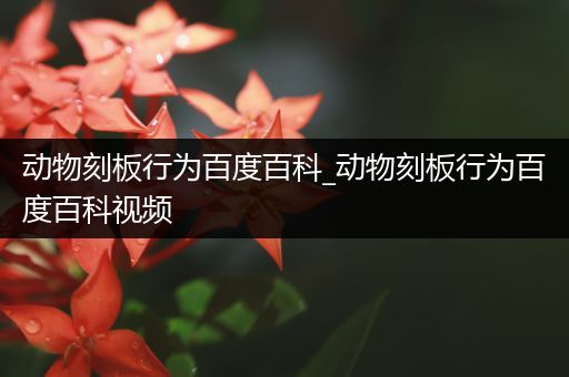 动物刻板行为百度百科_动物刻板行为百度百科视频