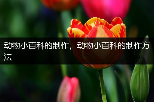 动物小百科的制作，动物小百科的制作方法