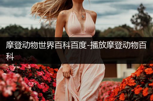 摩登动物世界百科百度-播放摩登动物百科