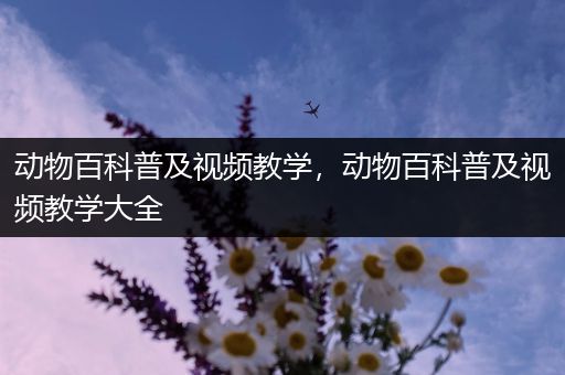 动物百科普及视频教学，动物百科普及视频教学大全