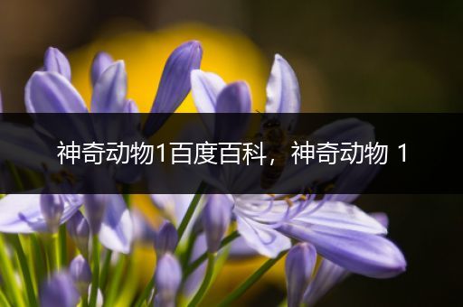 神奇动物1百度百科，神奇动物 1