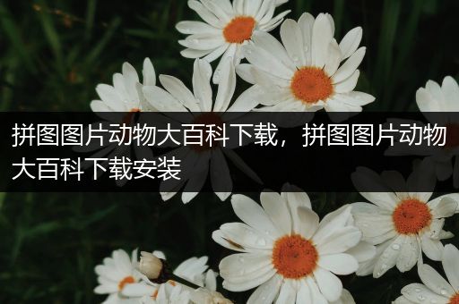 拼图图片动物大百科下载，拼图图片动物大百科下载安装