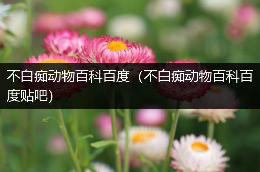 不白痴动物百科百度（不白痴动物百科百度贴吧）