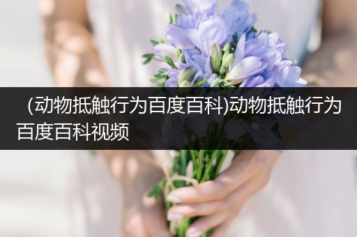 （动物抵触行为百度百科)动物抵触行为百度百科视频