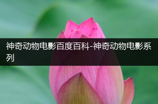 神奇动物电影百度百科-神奇动物电影系列