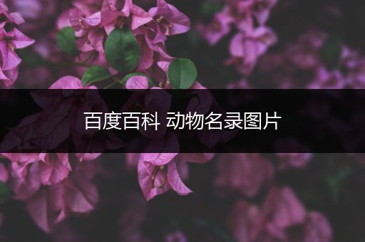 百度百科 动物名录图片