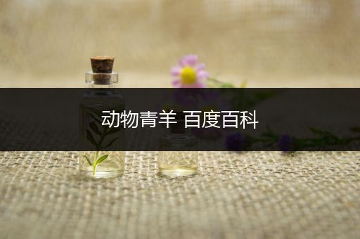 动物青羊 百度百科