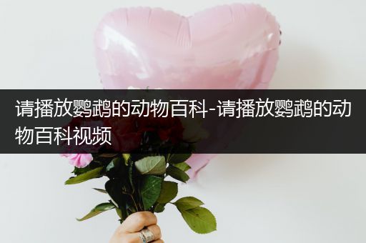 请播放鹦鹉的动物百科-请播放鹦鹉的动物百科视频