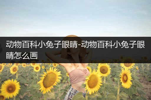 动物百科小兔子眼睛-动物百科小兔子眼睛怎么画