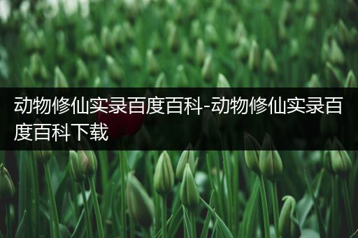 动物修仙实录百度百科-动物修仙实录百度百科下载