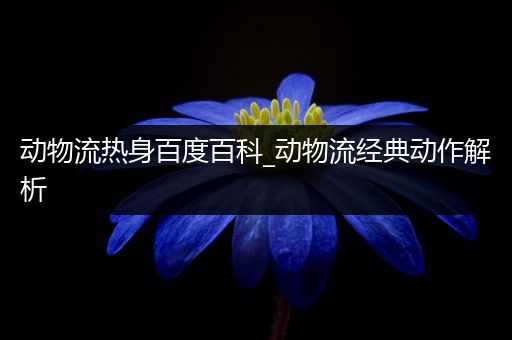 动物流热身百度百科_动物流经典动作解析