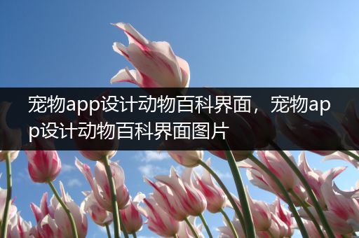 宠物app设计动物百科界面，宠物app设计动物百科界面图片