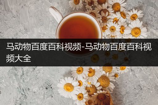 马动物百度百科视频-马动物百度百科视频大全