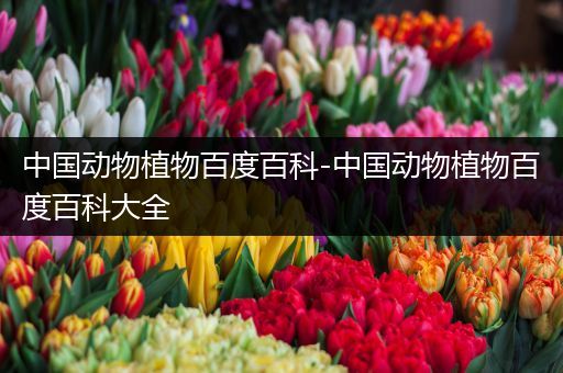 中国动物植物百度百科-中国动物植物百度百科大全