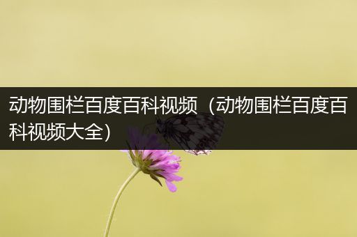 动物围栏百度百科视频（动物围栏百度百科视频大全）