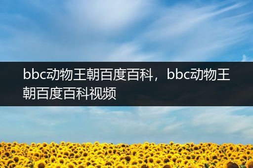 bbc动物王朝百度百科，bbc动物王朝百度百科视频