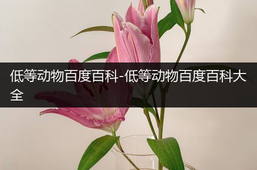 低等动物百度百科-低等动物百度百科大全