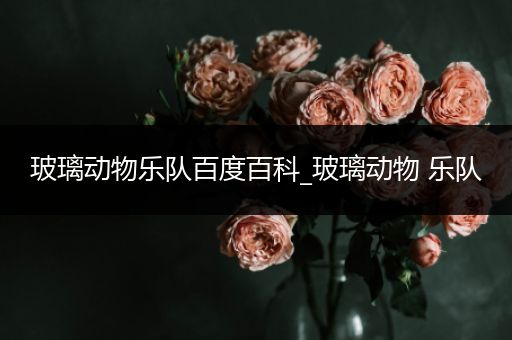 玻璃动物乐队百度百科_玻璃动物 乐队
