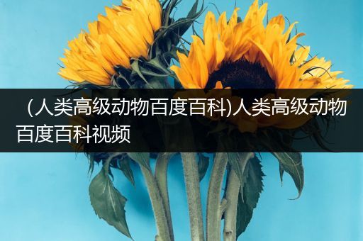 （人类高级动物百度百科)人类高级动物百度百科视频