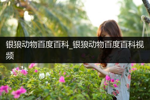银狼动物百度百科_银狼动物百度百科视频