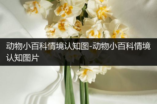 动物小百科情境认知图-动物小百科情境认知图片