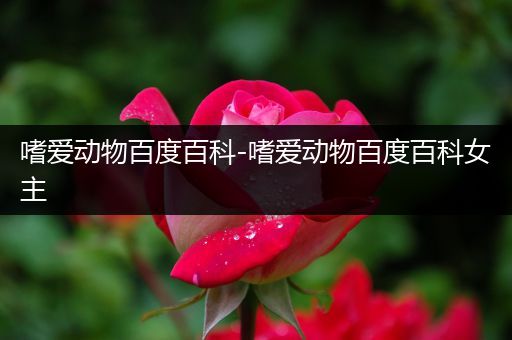 嗜爱动物百度百科-嗜爱动物百度百科女主