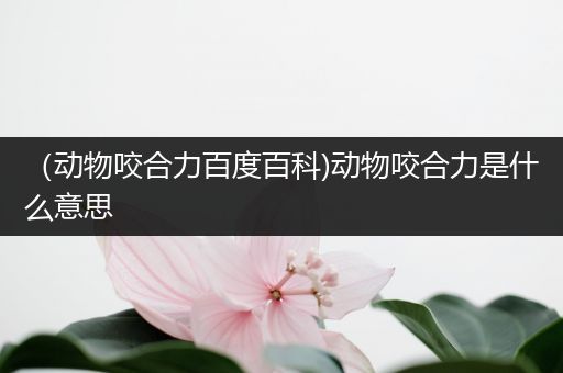 （动物咬合力百度百科)动物咬合力是什么意思