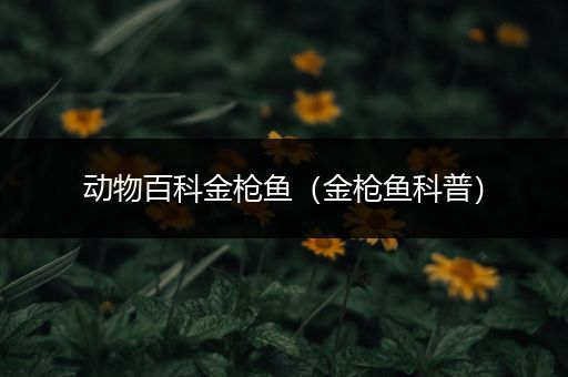 动物百科金枪鱼（金枪鱼科普）