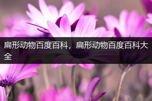 扁形动物百度百科，扁形动物百度百科大全