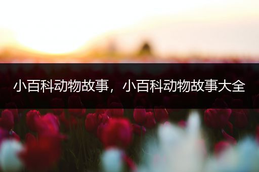 小百科动物故事，小百科动物故事大全