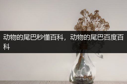 动物的尾巴秒懂百科，动物的尾巴百度百科