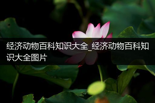 经济动物百科知识大全_经济动物百科知识大全图片