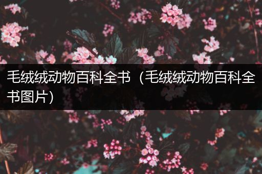 毛绒绒动物百科全书（毛绒绒动物百科全书图片）