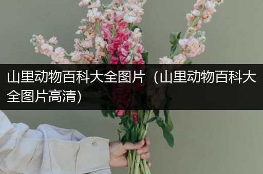 山里动物百科大全图片（山里动物百科大全图片高清）
