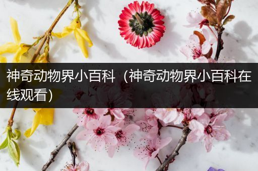 神奇动物界小百科（神奇动物界小百科在线观看）