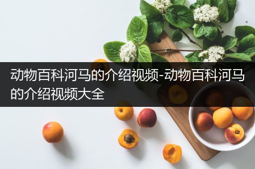 动物百科河马的介绍视频-动物百科河马的介绍视频大全